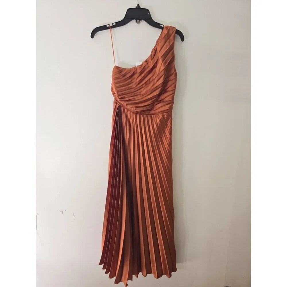 Abercrombie Fitch Giselle Pleated One Shoulder Maxi Copper Terracotta Dress XSP